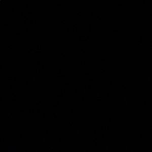 Meet your Posher, Arielle